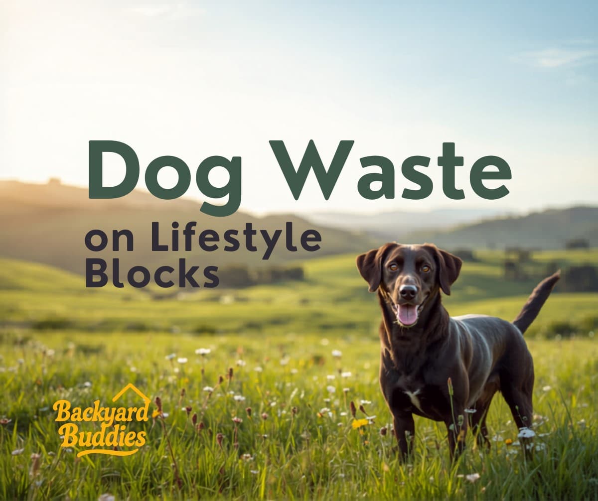 Managing Dog Waste on Lifestyle Blocks: A Guide for Rural NZ Dog Owners
