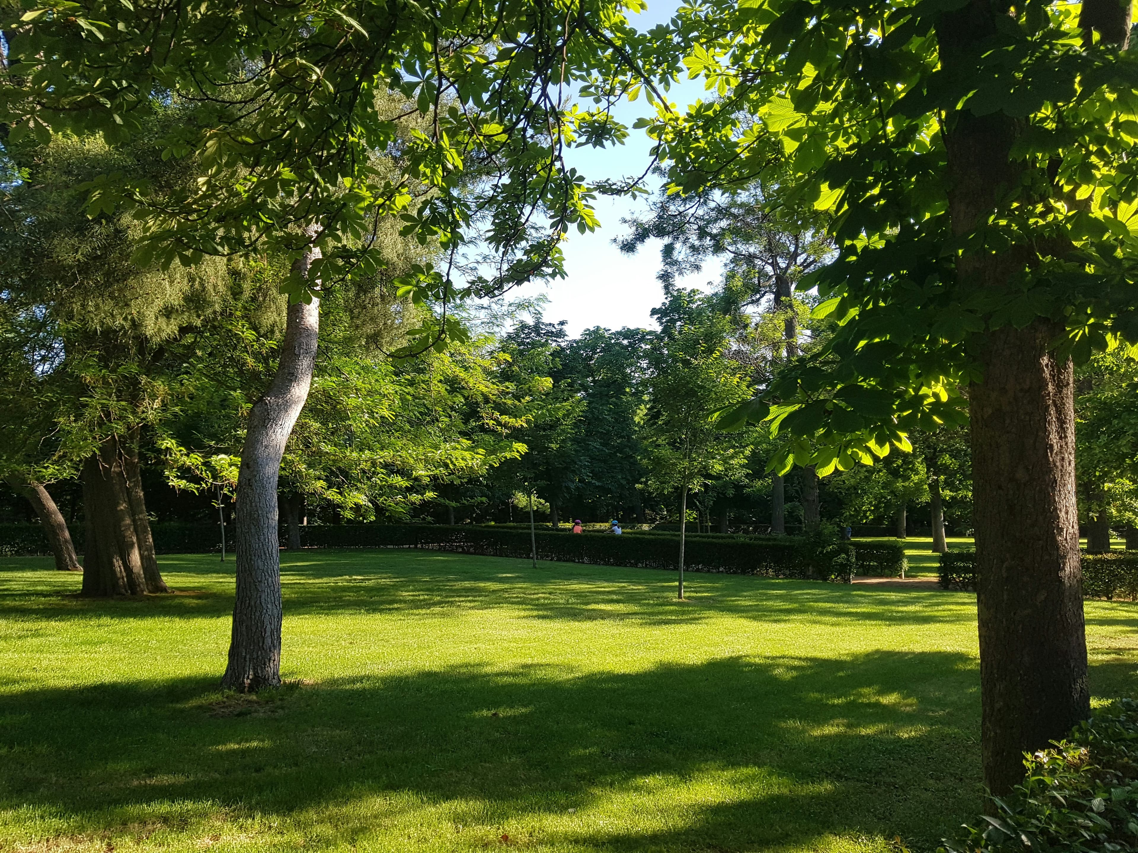 A pristine clean backyard