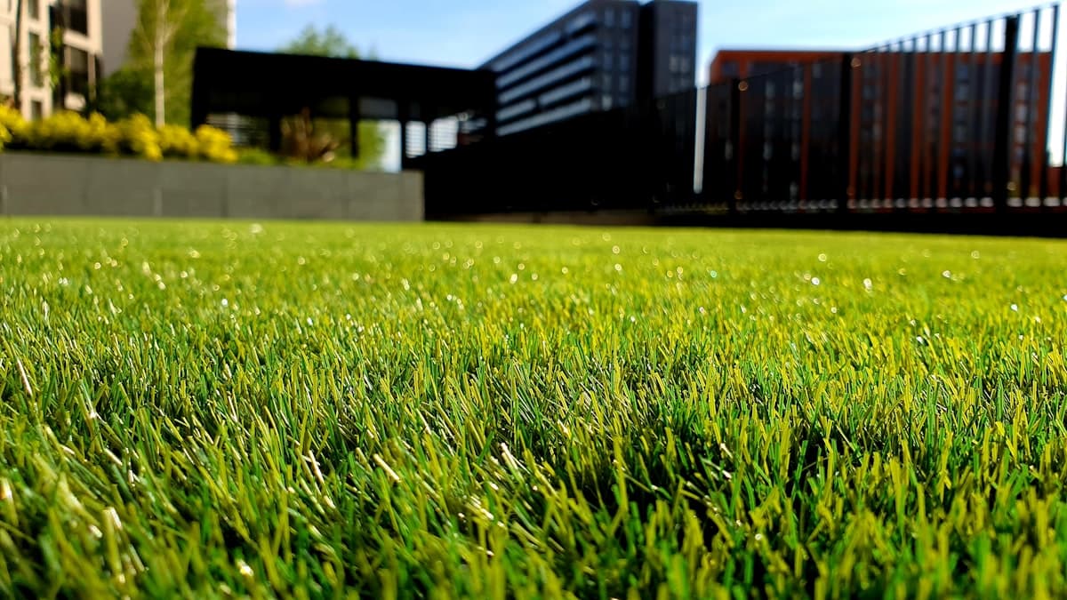 Close-up of a pristine, freshly maintained green lawn at a modern coastal property