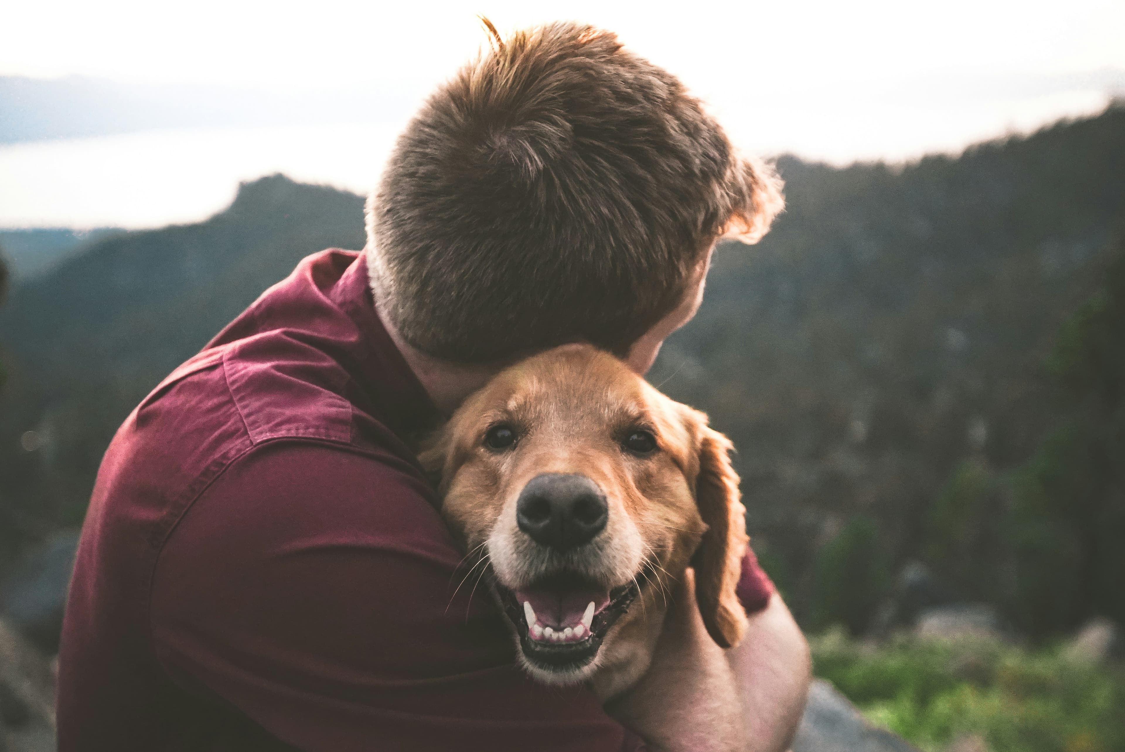 Owner hugging their happy dog
