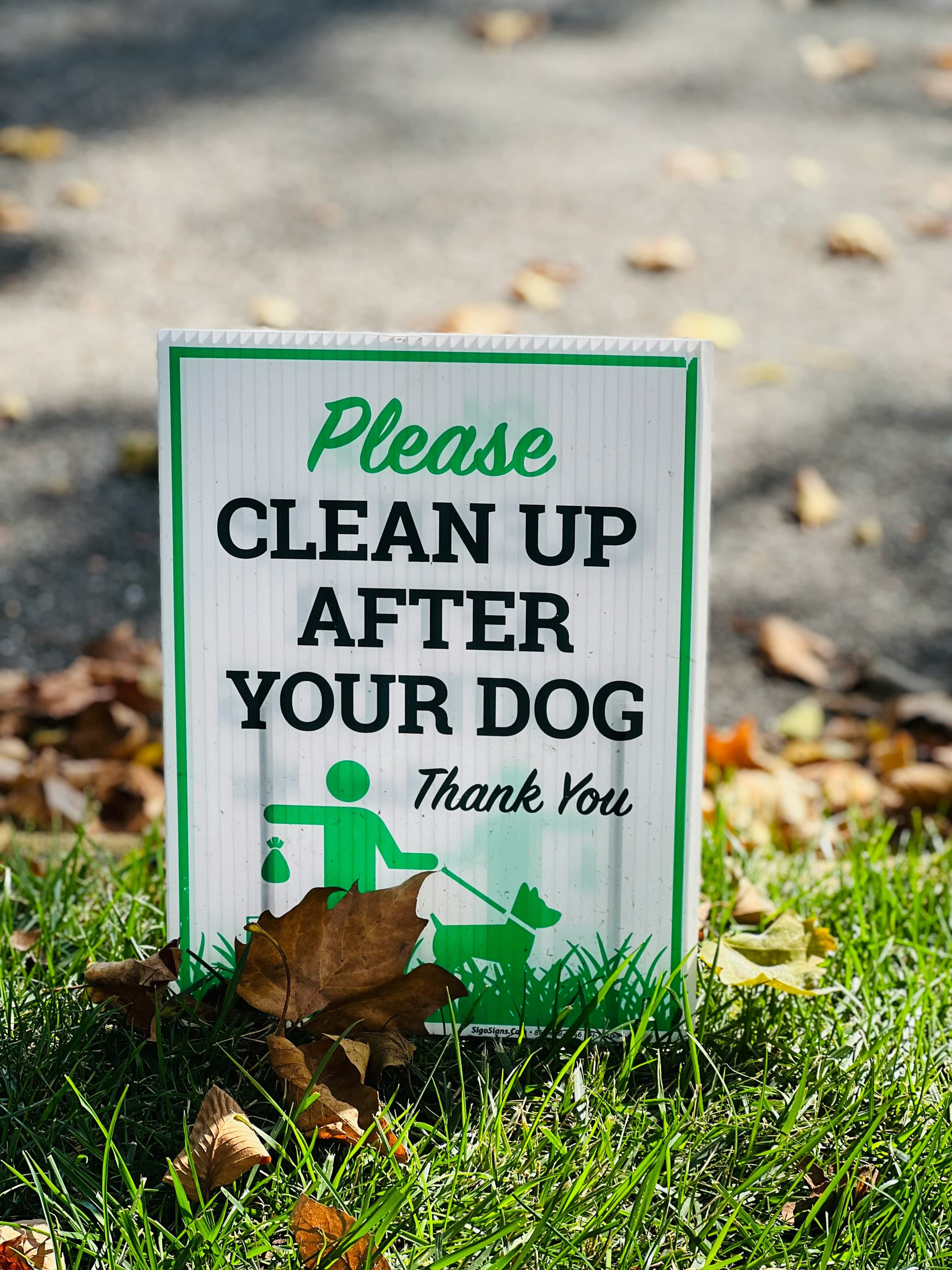 How to Choose the Best Dog Waste Removal Service in Auckland (2026)